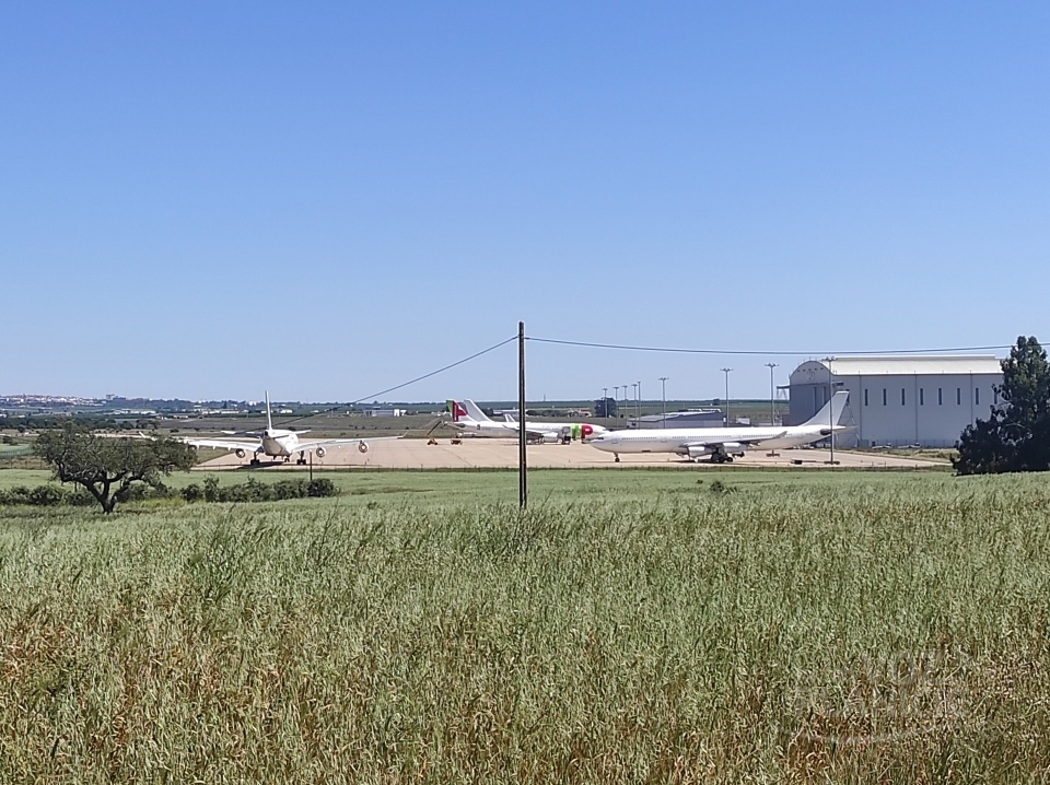 Benfica Aterra No Aeroporto De Beja Esta Tarde Clube Da Luz Regressa